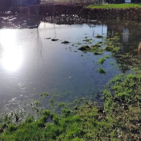 Prázdninový dům Seaside Charm In Ristinge-by Traum